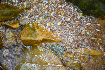 forest stream with clear water among the stones, natural background
