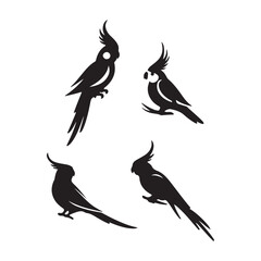 silhouette of birds