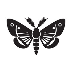 butterfly vector illustration