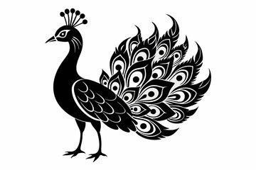 peacock silhouette line art vector illustration with a white background