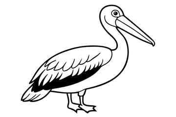 pelican silhouette line art vector illustration with a white background