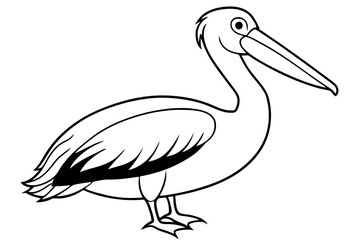 pelican silhouette line art vector illustration with a white background