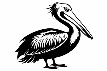 pelican silhouette line art vector illustration with a white background