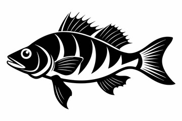 Fototapeta premium perch silhouette line art vector illustration with a white background