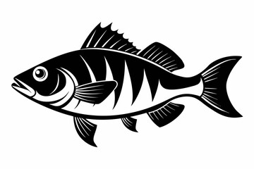 perch silhouette line art vector illustration with a white background