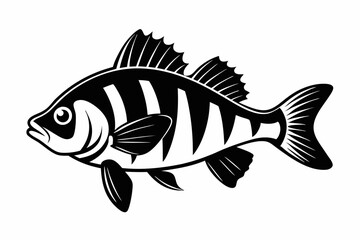 perch silhouette line art vector illustration with a white background