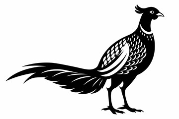 Obraz premium pheasant silhouette line art vector illustration with a white background