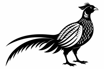pheasant silhouette line art vector illustration with a white background