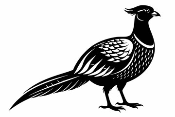 pheasant silhouette line art vector illustration with a white background
