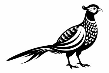 pheasant silhouette line art vector illustration with a white background