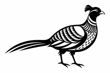 pheasant silhouette line art vector illustration with a white background