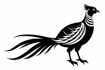 Fototapeta premium pheasant silhouette line art vector illustration with a white background