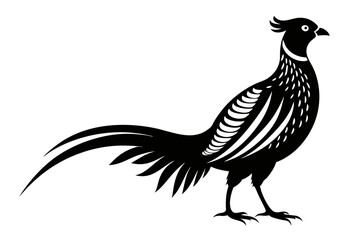 pheasant silhouette line art vector illustration with a white background