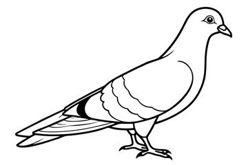 pigeon silhouette line art vector illustration with a white background