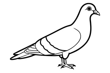 pigeon silhouette line art vector illustration with a white background