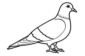 pigeon silhouette line art vector illustration with a white background