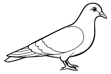 pigeon silhouette line art vector illustration with a white background