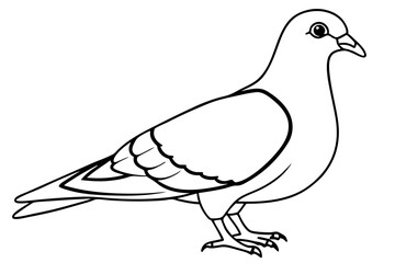 pigeon silhouette line art vector illustration with a white background