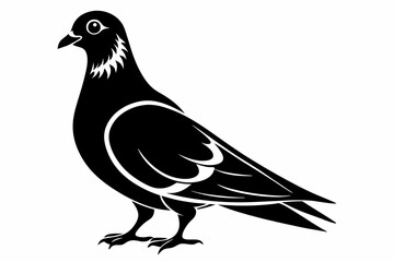 pigeon silhouette line art vector illustration with a white background