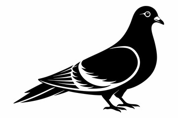 pigeon silhouette line art vector illustration with a white background
