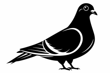 pigeon silhouette line art vector illustration with a white background