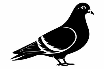 pigeon silhouette line art vector illustration with a white background