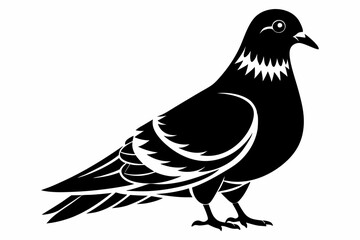 pigeon silhouette line art vector illustration with a white background