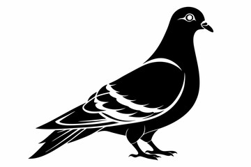 pigeon silhouette line art vector illustration with a white background