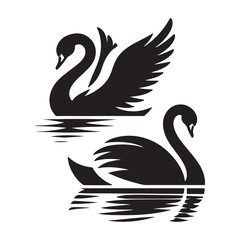 black swan vector illustration