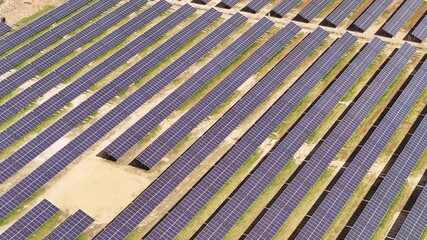 Solar panel farm generating renewable energy during daytime in rural area