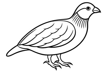 quail silhouette line art vector illustration with a white background