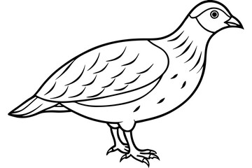 quail silhouette line art vector illustration with a white background