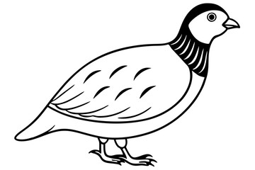 quail silhouette line art vector illustration with a white background