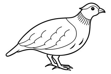quail silhouette line art vector illustration with a white background