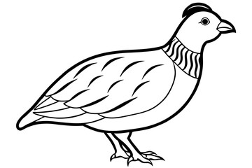 quail silhouette line art vector illustration with a white background