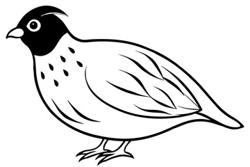 quail silhouette line art vector illustration with a white background