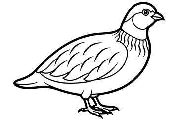 quail silhouette line art vector illustration with a white background