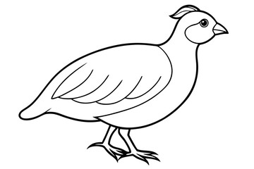 quail silhouette line art vector illustration with a white background
