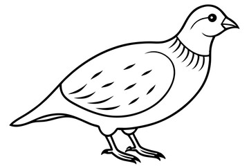 quail silhouette line art vector illustration with a white background