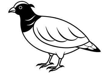 quail silhouette line art vector illustration with a white background