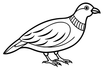quail silhouette line art vector illustration with a white background