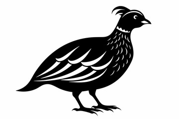 quail silhouette line art vector illustration with a white background