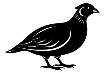 quail silhouette line art vector illustration with a white background