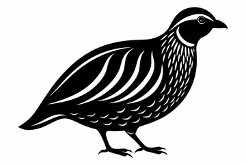 quail silhouette line art vector illustration with a white background