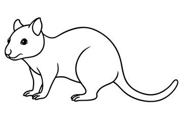 quokka silhouette line art vector illustration with a white background