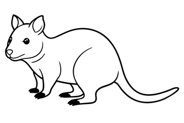quokka silhouette line art vector illustration with a white background