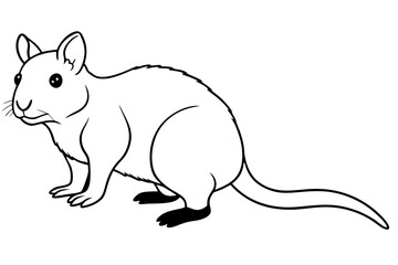 quokka silhouette line art vector illustration with a white background