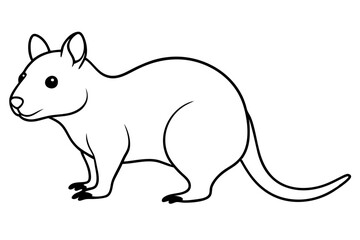quokka silhouette line art vector illustration with a white background