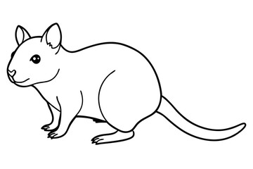 quokka silhouette line art vector illustration with a white background