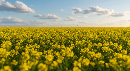 Obraz premium Golden Hour Bloom AI Generated